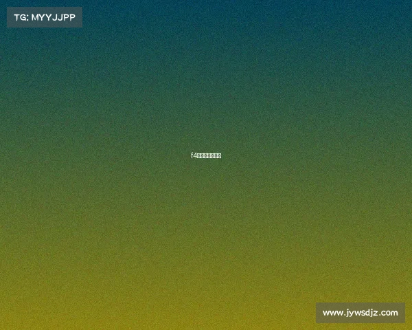 f4赛车是什么意思